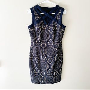 Enfocus studio blue lace dress size 8